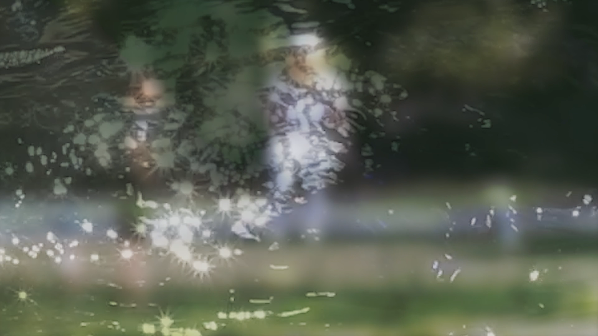 Where Within video thumbnail